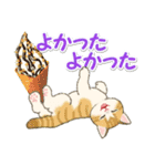 夏のにゃんころりん（個別スタンプ：34）