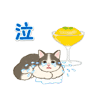 夏のにゃんころりん（個別スタンプ：38）