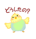 家族の連絡☆ 仲良しインコさん（個別スタンプ：3）