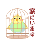 家族の連絡☆ 仲良しインコさん（個別スタンプ：10）
