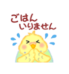 家族の連絡☆ 仲良しインコさん（個別スタンプ：20）