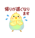 家族の連絡☆ 仲良しインコさん（個別スタンプ：22）