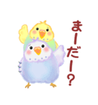 家族の連絡☆ 仲良しインコさん（個別スタンプ：25）
