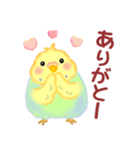 家族の連絡☆ 仲良しインコさん（個別スタンプ：29）