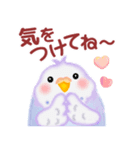 家族の連絡☆ 仲良しインコさん（個別スタンプ：32）