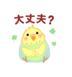家族の連絡☆ 仲良しインコさん（個別スタンプ：37）