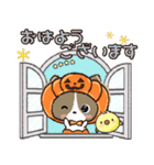 ふわモコになりたい愛犬♡秋【敬語メモ】（個別スタンプ：10）