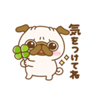 動く♡毎日パグの日（個別スタンプ：13）