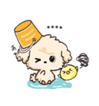 愛犬家たちのわんこ/秋/敬語メモ/トイプー（個別スタンプ：21）