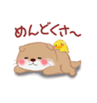 かわうそさんはつらいなぁ「関西弁」（個別スタンプ：11）