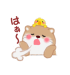 かわうそさんはつらいなぁ「関西弁」（個別スタンプ：21）