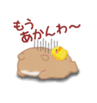 かわうそさんはつらいなぁ「関西弁」（個別スタンプ：22）