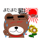 毎日、クマさん 残暑お見舞い（個別スタンプ：11）