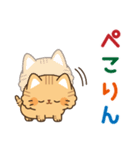 とらネコ<ベイビー>飛び出すスタンプ2（個別スタンプ：11）