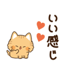 とらネコ<ベイビー>飛び出すスタンプ2（個別スタンプ：13）