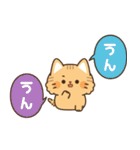 とらネコ<ベイビー>飛び出すスタンプ2（個別スタンプ：14）