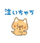 とらネコ<ベイビー>飛び出すスタンプ2（個別スタンプ：20）