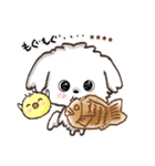 愛犬家のわんこ♡たい焼き＆たこ焼き（個別スタンプ：3）