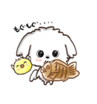 愛犬家のわんこ♡たこ焼き＆タイ焼き/日常（個別スタンプ：8）