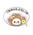 愛犬家のわんこ♡たこ焼き＆タイ焼き/日常（個別スタンプ：24）