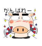 ブタさん★家族通信（個別スタンプ：38）