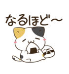 飛び出す！三毛猫とシマエナガ 残暑～秋（個別スタンプ：9）