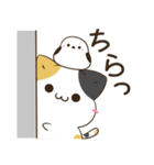 飛び出す！三毛猫とシマエナガ 残暑～秋（個別スタンプ：15）