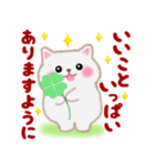 4匹のぽちゃりねこ「思いやり」（個別スタンプ：3）