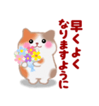 4匹のぽちゃりねこ「思いやり」（個別スタンプ：11）