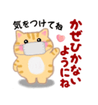 4匹のぽちゃりねこ「思いやり」（個別スタンプ：14）