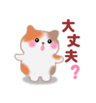 4匹のぽちゃりねこ「思いやり」（個別スタンプ：17）