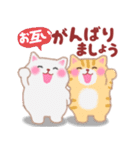 4匹のぽちゃりねこ「思いやり」（個別スタンプ：18）