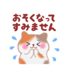 4匹のぽちゃりねこ「思いやり」（個別スタンプ：24）