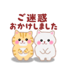 4匹のぽちゃりねこ「思いやり」（個別スタンプ：28）