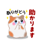 4匹のぽちゃりねこ「思いやり」（個別スタンプ：30）
