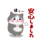 4匹のぽちゃりねこ「思いやり」（個別スタンプ：34）
