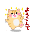 4匹のぽちゃりねこ「思いやり」（個別スタンプ：36）
