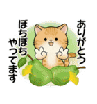 ほのぼの猫さん ♡ 秋の挨拶（個別スタンプ：10）
