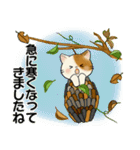 ほのぼの猫さん ♡ 秋の挨拶（個別スタンプ：11）