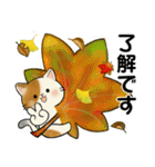 ほのぼの猫さん ♡ 秋の挨拶（個別スタンプ：13）