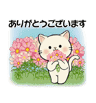 ほのぼの猫さん ♡ 秋の挨拶（個別スタンプ：19）