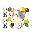 ほのぼの猫さん ♡ 秋の挨拶（個別スタンプ：26）
