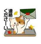 ほのぼの猫さん ♡ 秋の挨拶（個別スタンプ：35）