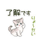ころころにゃんこ 優しい毎日（個別スタンプ：1）