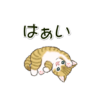 ころころにゃんこ 優しい毎日（個別スタンプ：3）
