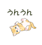 ころころにゃんこ 優しい毎日（個別スタンプ：4）