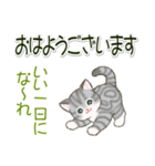 ころころにゃんこ 優しい毎日（個別スタンプ：6）