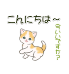 ころころにゃんこ 優しい毎日（個別スタンプ：7）