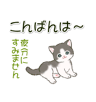 ころころにゃんこ 優しい毎日（個別スタンプ：8）