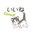 ころころにゃんこ 優しい毎日（個別スタンプ：13）